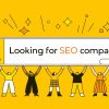 Choosing the Right Company for SEO Promotion in the USA